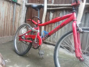 Bicycle Saudi Arbia 24 Number