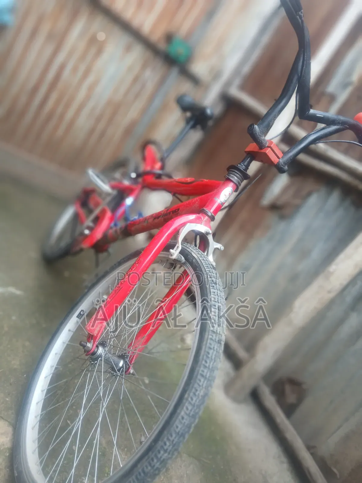 Bicycle Saudi Arbia 24 Number