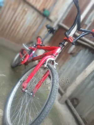 Bicycle Saudi Arbia 24 Number