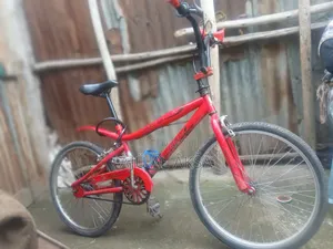 Bicycle Saudi Arbia 24 Number