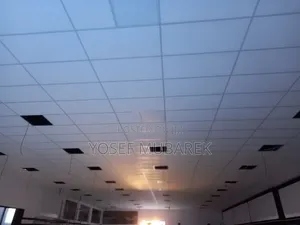 የዘመኑ PVC Ceiling አሁን በምርጥ ዋጋ