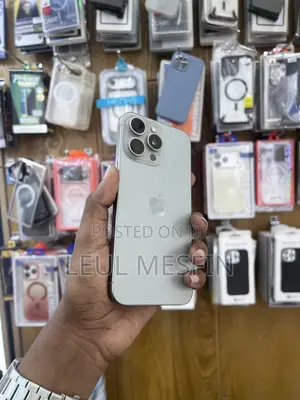 Apple iPhone 15 Pro Max 256 GB Silver