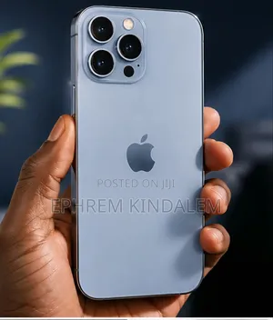 Apple iPhone 13 Pro Max 256 GB Gray