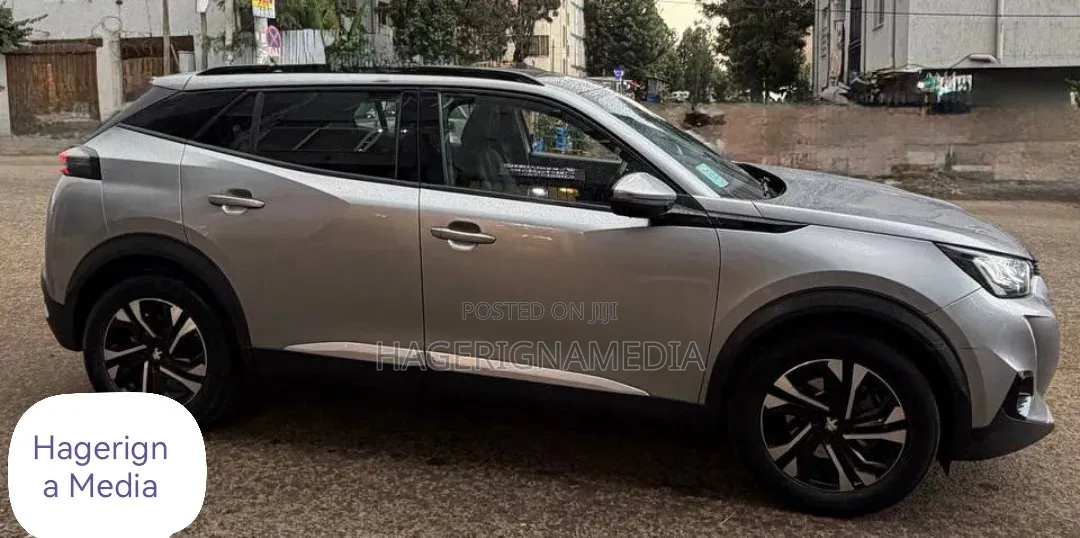 Peugeot 2008 2022 Gray