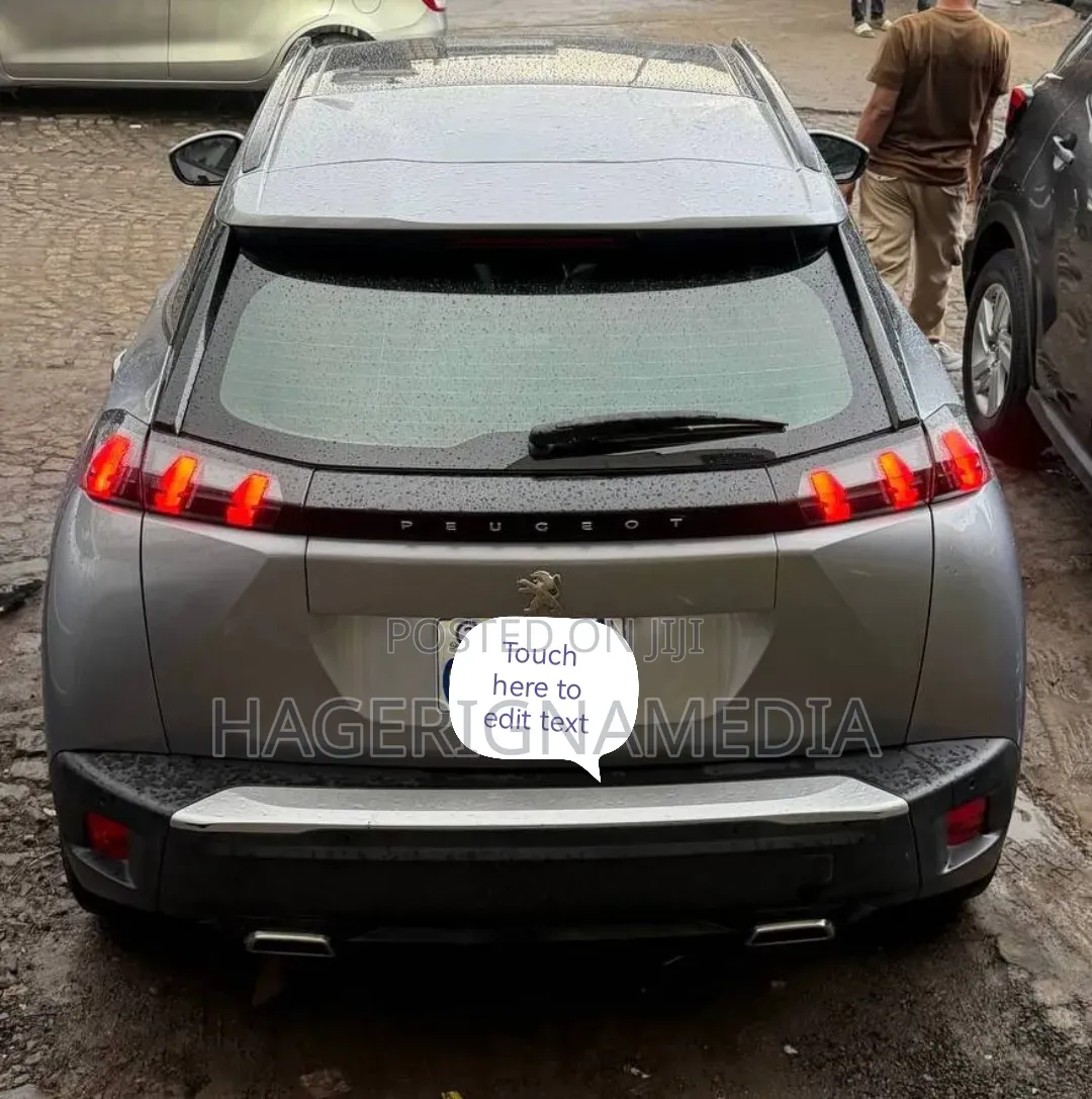 Peugeot 2008 2022 Gray