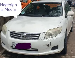 Toyota Axio 2010 White