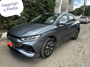 BYD E2 43 kWh 94 hp FWD 2024 Gray