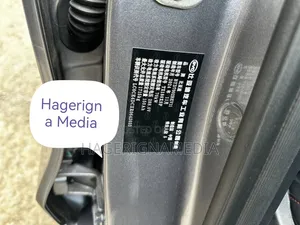 BYD E2 43 kWh 94 hp FWD 2024 Gray