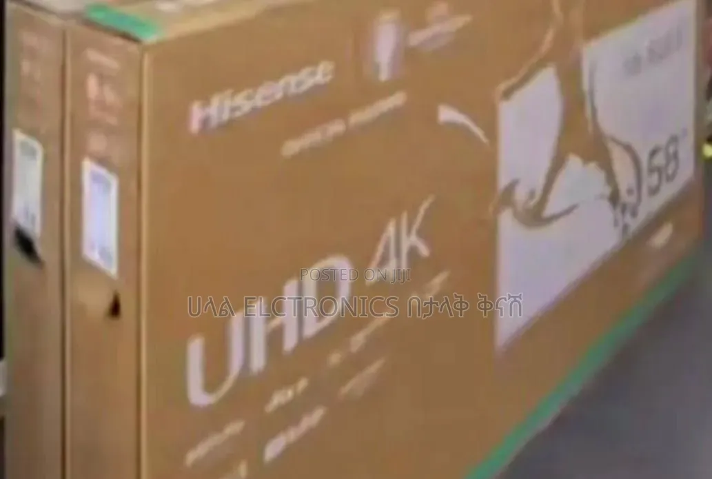 Hisense 55*2026