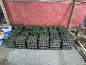 For Egg Buyers
