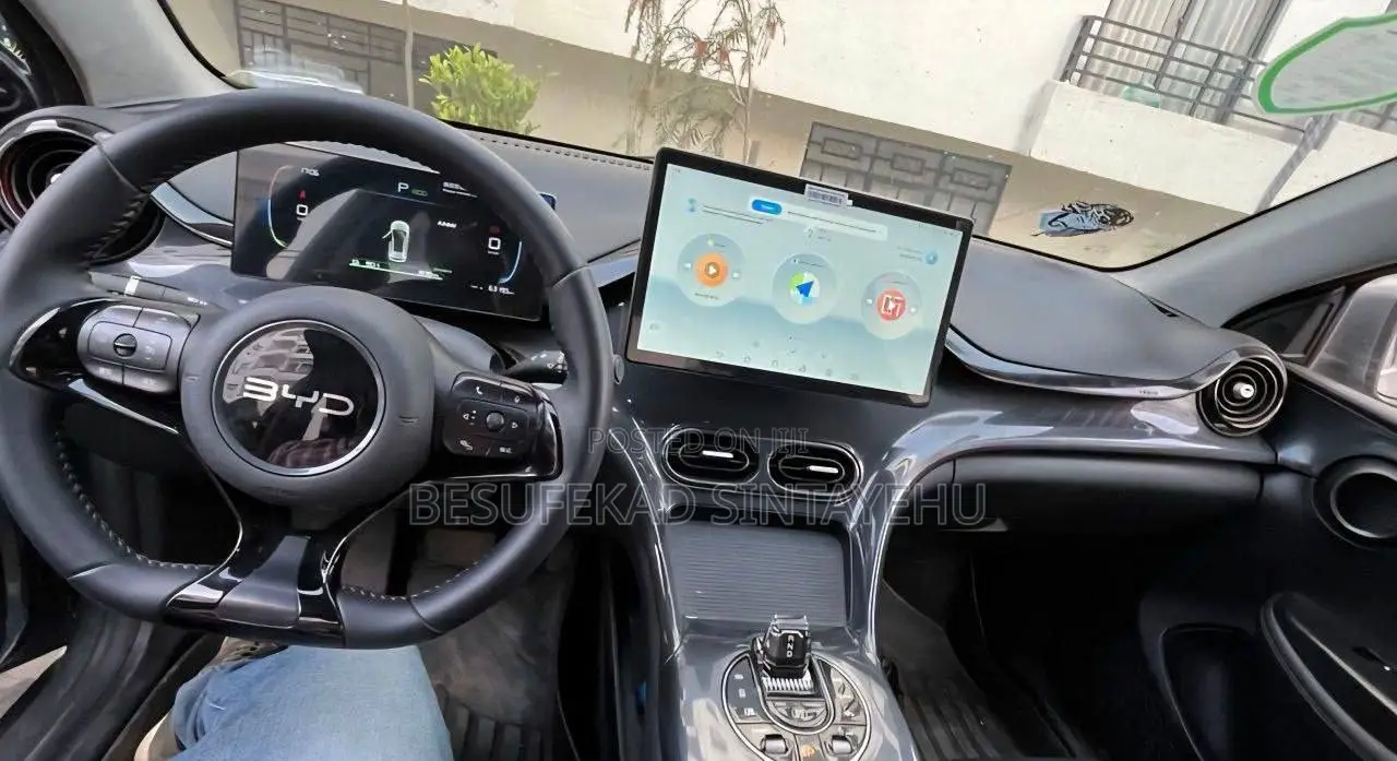 BYD E2 43 kWh 94 hp FWD 2024 Gray