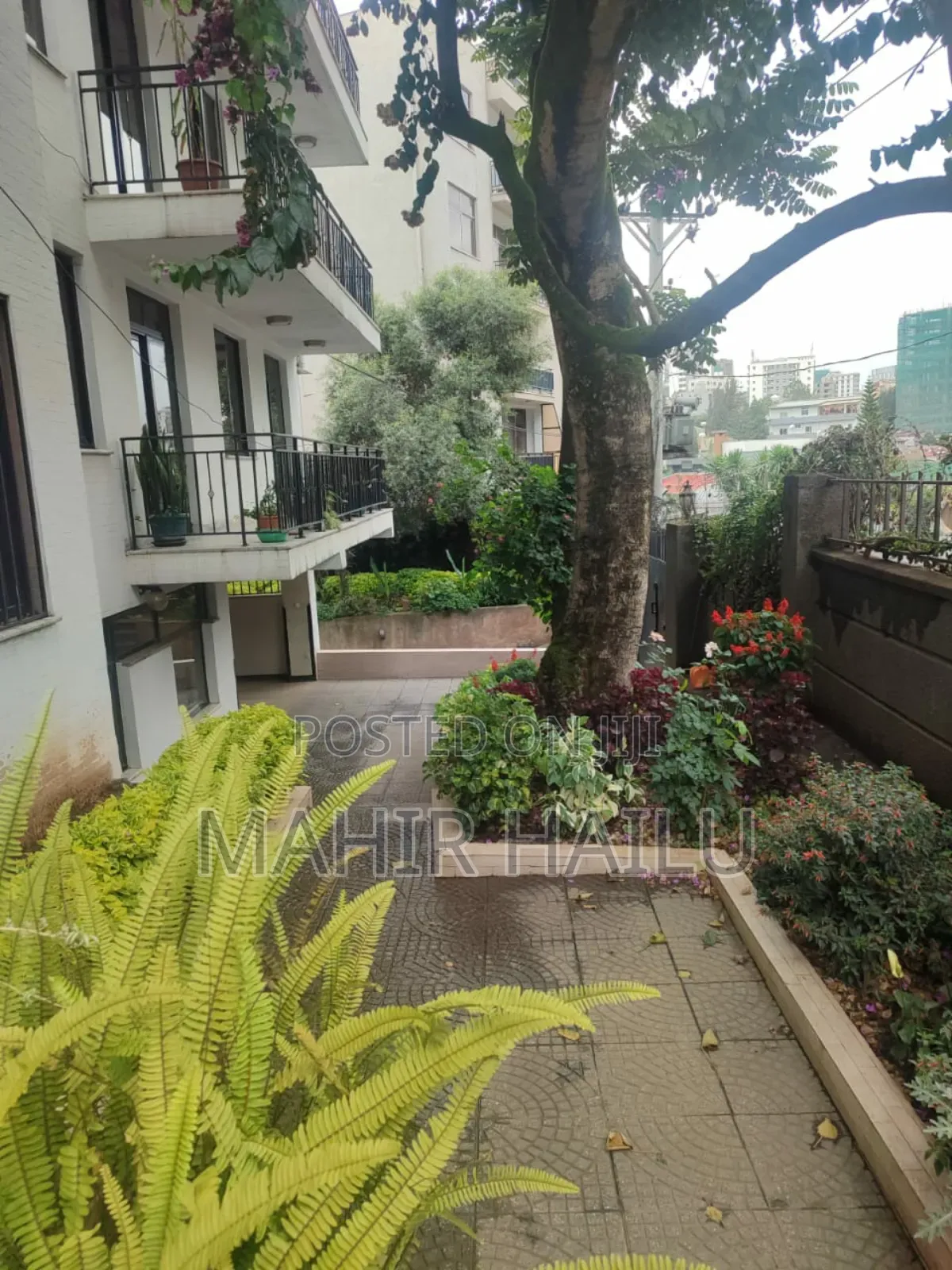 Furnished 1bdrm Apartment in Real, Bole for rent