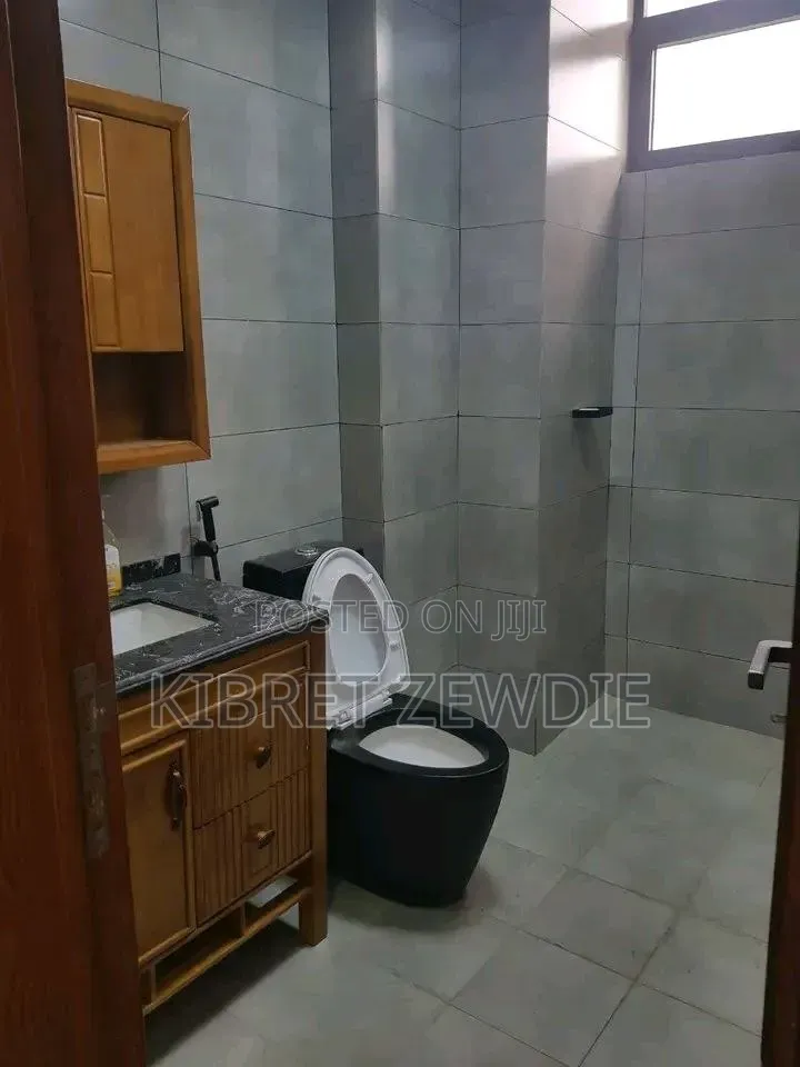 Furnished 3bdrm Apartment in Kibert Zewdie, Bole for sale