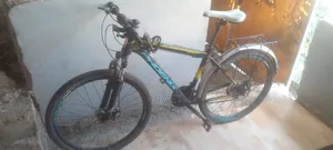 Phonex Mountain Bicycle