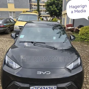 BYD Seagull 2024 Black