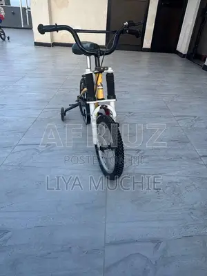 Bicycle Bike