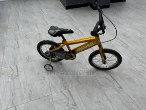 Bicycle Bike