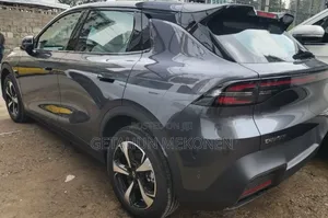 New Car 2025 Gray