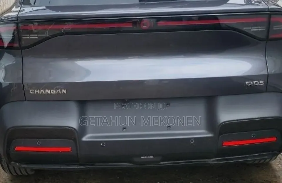 New Car 2025 Gray