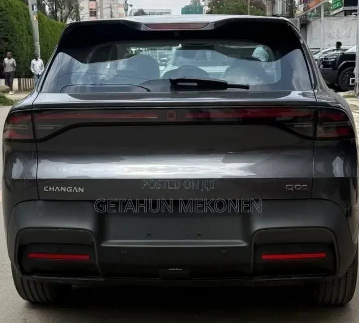 New Car 2025 Gray