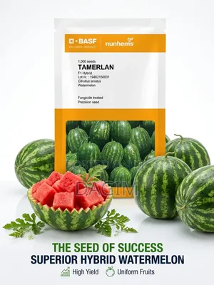 Tamerlan F1 Hybrid Watermelon Seeds