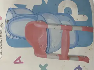 Babies Toilet Chair