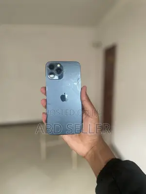 Apple iPhone 12 Pro Max 256 GB Blue