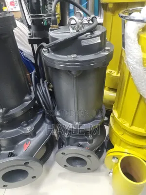 Leo Dewatering Water Pump 10hp