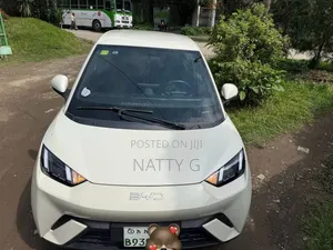 BYD Seagull 2025 White