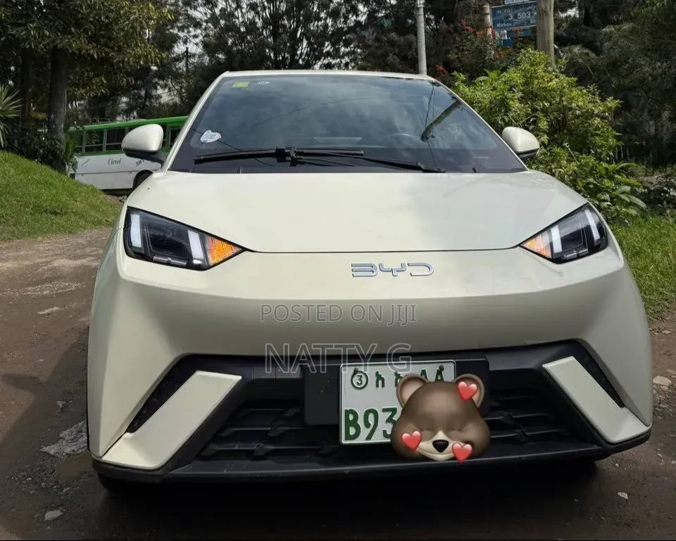 BYD Seagull 2025 White