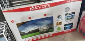 Emingtek 65*2026
