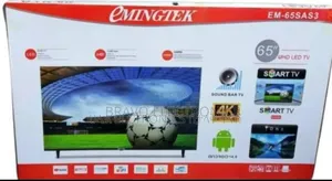 Emingtek 65*2026