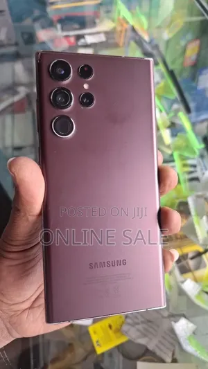 Samsung Galaxy S22 Ultra 256 GB Gray