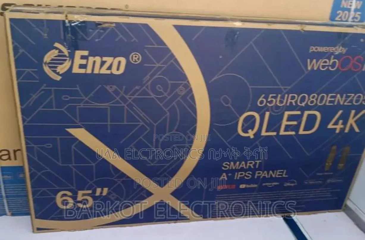 Enzo 65*2026