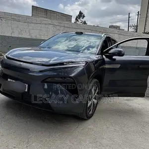 BYD Tang EV 2025 Gray