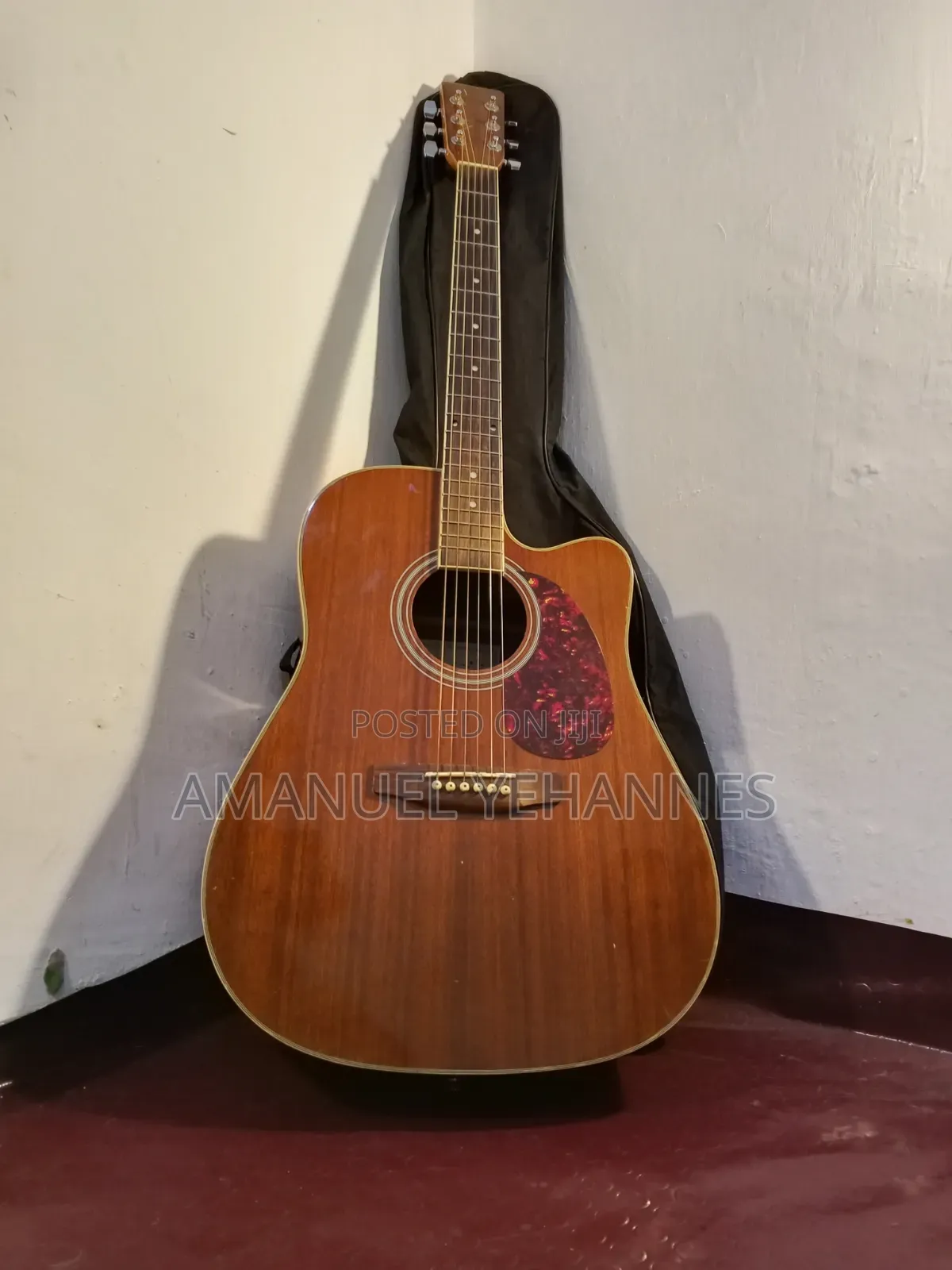 Passion Acoustic Guitar