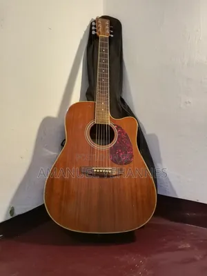 Passion Acoustic Guitar