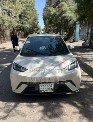 New BYD Seagull 2024 Silver