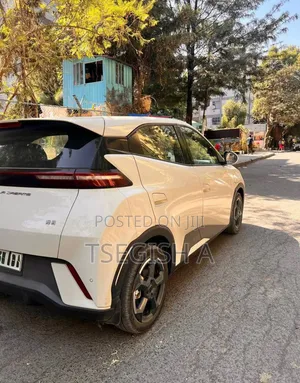 New BYD Seagull 2024 Silver
