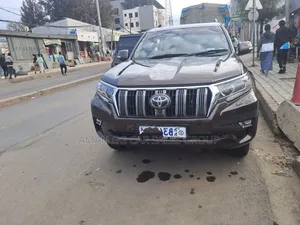 Toyota Land Cruiser 2019 Brown