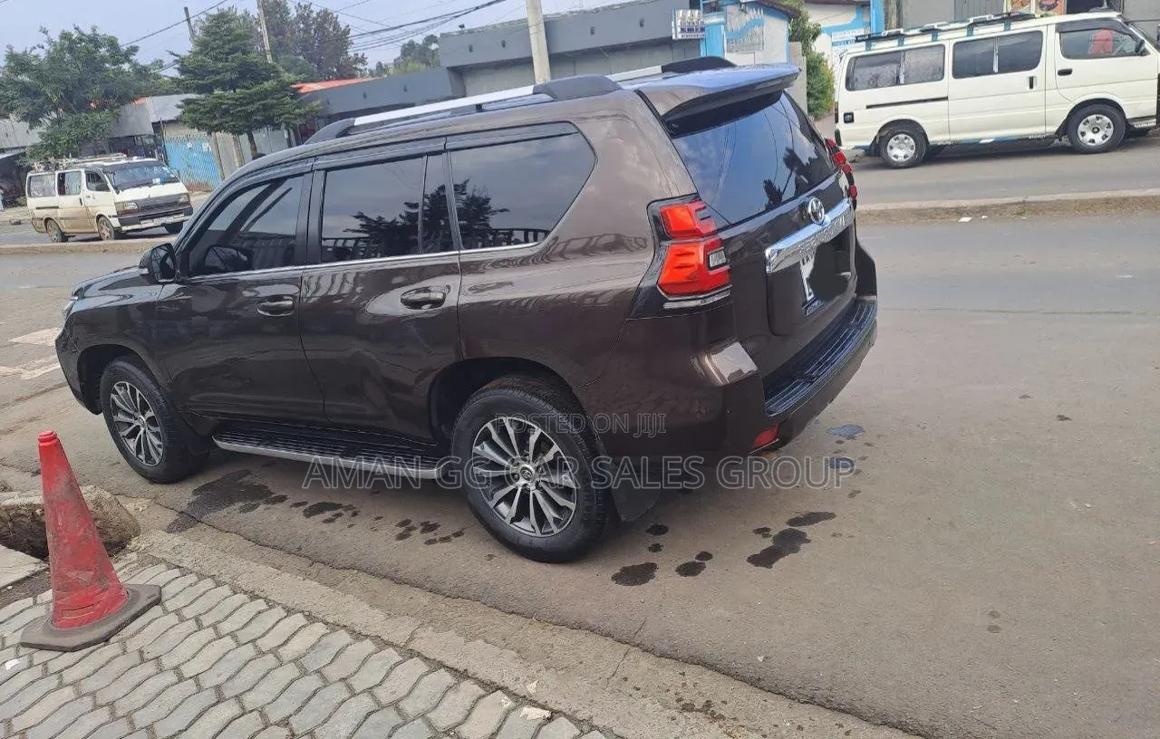 Toyota Land Cruiser 2019 Brown