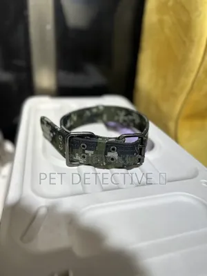 Dogs Collar