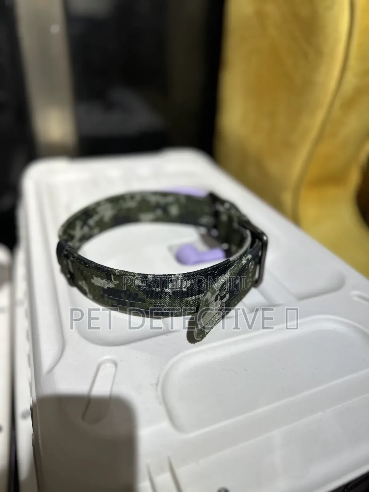Dogs Collar