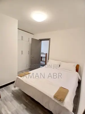 Furnished 2bdrm Apartment in Bole for rent