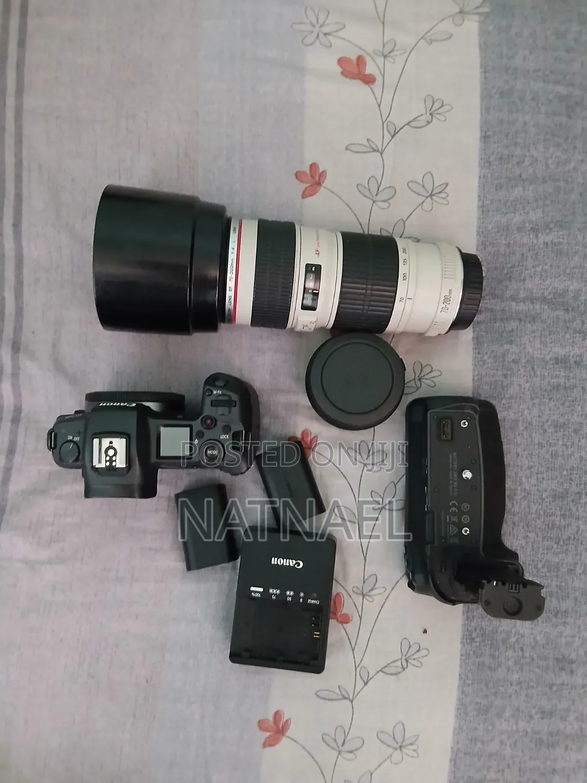 Canon R Zebra Lens