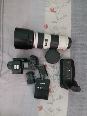 Canon R Zebra Lens