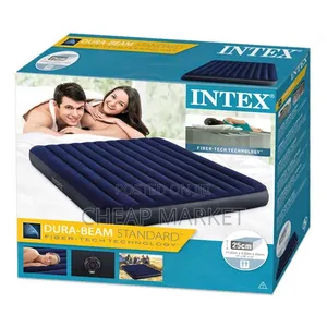 Intex Dura-Beam Raised Air Mattress With Electric Pump.