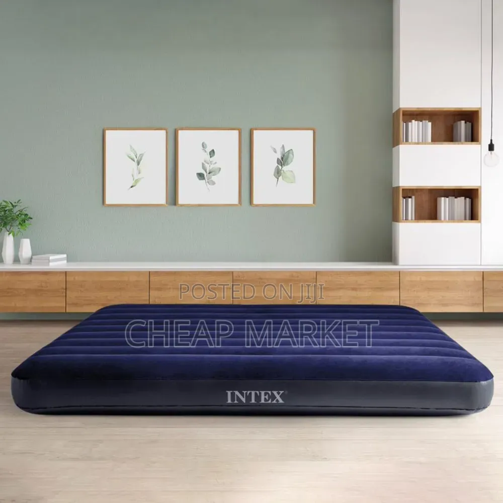 Intex Dura-Beam Raised Air Mattress With Electric Pump.