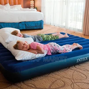 Intex Dura-Beam Raised Air Mattress With Electric Pump.