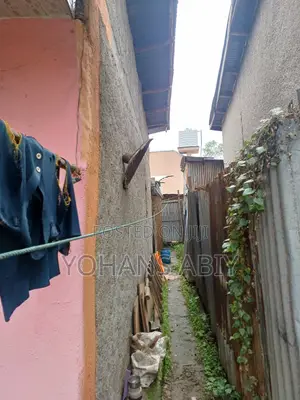 Furnished 2bdrm House in Akaky Kaliti for sale